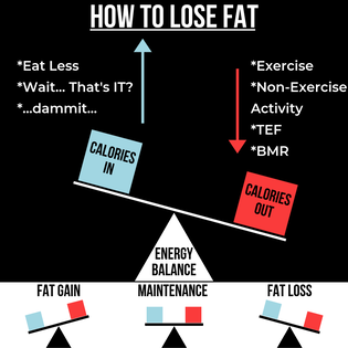 How to Lose Fat Chart